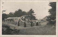 Whale Skeleton at Point Lobos Postcard