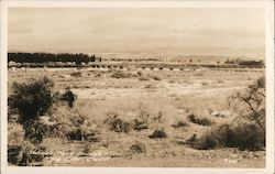 Salinas River Bridge Postcard