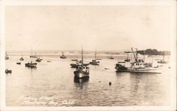 Fishing Fleet Monterey, CA Postcard Postcard Postcard