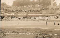 Pacific Grove Beach California Postcard Postcard Postcard