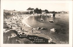 Beach Pacific Grove, CA Postcard Postcard Postcard