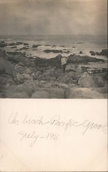 On Beach Pacific Grove California Postcard Postcard Postcard