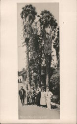 Posing with Palm Trees, Paraiso Hot Springs Soledad, CA Postcard Postcard Postcard