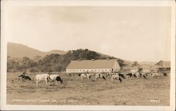 Farm Lands Postcard