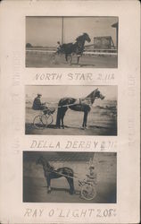 Race Horses Postcard