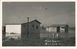 Flood Scene 4 Salinas, CA Postcard Postcard Postcard