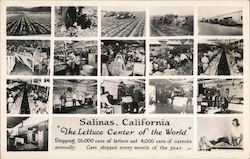 The Lettuce Center of the World Salinas, CA Postcard Postcard Postcard