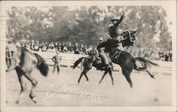 California Rodeo Salinas, CA Postcard Postcard Postcard