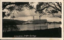 Spreckles Sugar Factory Postcard