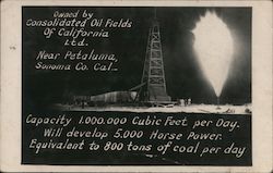 Rare: Consoidated Oil Fields of California Petaluma, CA Postcard Postcard Postcard