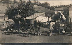 Woman in horse drawn Buggy Postcard