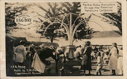 County Fair and Egg Day Parker Baby Aeroplane At Egg Day Festival Postcard