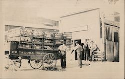 Wagpn Loaded with Chickens Petaluma, CA Postcard Postcard Postcard