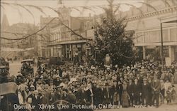 Open Air Xmas Tree Petaluma, CA Postcard Postcard Postcard