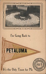 I'm Going Back to Petaluma, It's the Only Town For Me 1700 Chicks California Postcard Postcard Postcard