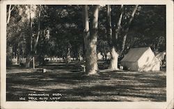 Kenilworth Park, Free Auto Camp Petaluma, CA Postcard Postcard Postcard