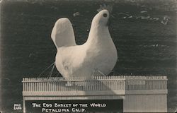 The Egg Basket of the World Petaluma, CA Postcard Postcard Postcard