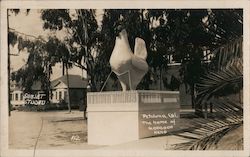 Home of 6 million hens Petaluma, CA Postcard Postcard Postcard