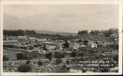 Chilaen Ranches in the Cinnabar District Postcard