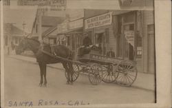 A Man on a Horse Drawn Carriage Santa Rosa, CA Postcard Postcard Postcard