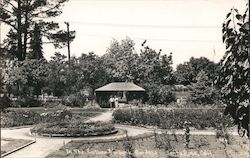 In the Luther Burbank Gardens Postcard