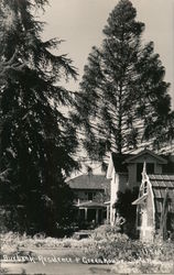 Burbank Residence and Greenhouse Santa Rosa, CA Postcard Postcard Postcard