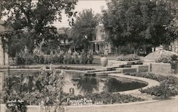 Fremont Park Santa Rosa, CA Bartlett Photo Postcard Postcard Postcard