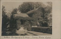 Luther Burbank's Cottage Postcard