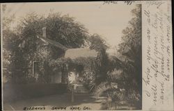 Luther Burbank's Home Postcard