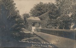 Luther Burbank's Old Home Postcard