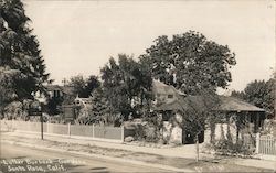 Luther Burbank Gardens Postcard