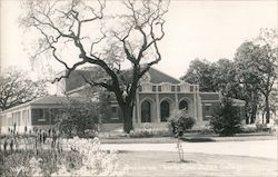 Auditorium Postcard