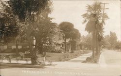 Looking Along Cherry Street Santa Rosa, CA Postcard Postcard Postcard