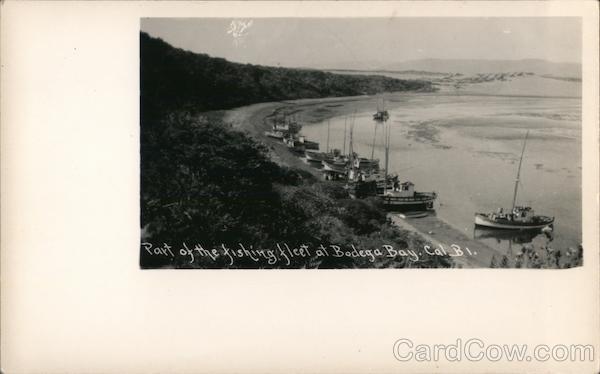 Part of the Fishing Fleet Bodega Bay CA Postcard