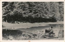 Bohemian Grove Paul Carson plays piano across the lake Postcard