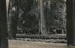 Bohemian Club Amphitheatre Postcard