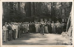 Group being taught about Redwoods Bohemian Grove Monte Rio, CA Postcard Postcard Postcard