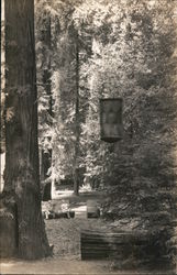 People Sitting on a Carved Log Bohemian Grove Monte Rio, CA Postcard Postcard Postcard