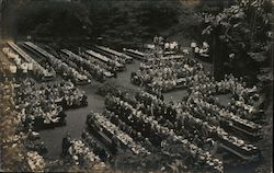 Bohemian Grove Gathering at Tables Postcard