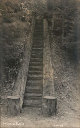 Bohemian Grove Log Stairway Postcard