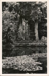 Water View, Bohemian Grove Monte Rio, CA Postcard Postcard Postcard