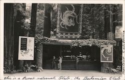 Bohemian Grove Monte Rio, CA Postcard Postcard Postcard