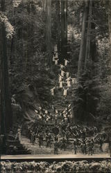 Play in the Redwoods, Bohemian Grove Monte Rio, CA Postcard Postcard Postcard