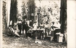 People Eating Around a Table in the Woods, Bohemian Grove Monte Rio, CA Postcard Postcard Postcard