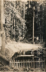 Fenced pond in the Redwood forest Bohemian Grove Monte Rio, CA Postcard Postcard Postcard