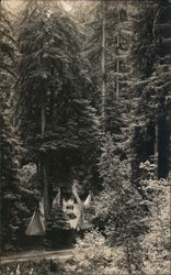 Tents in the Woods, Bohemian Grove Monte Rio, CA Postcard Postcard Postcard