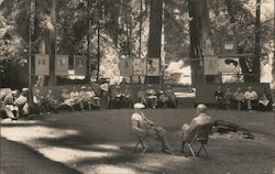 Quiet Morning at Bohemian Grove Monte Rio, CA Postcard Postcard Postcard