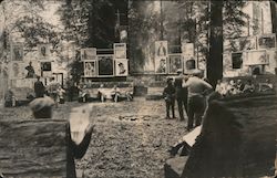 Bohemian Grove Scene Monte Rio, CA Postcard Postcard Postcard