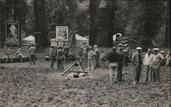 Bohemian Club Grove Postcard