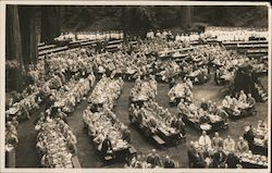 Bohemian Grove Dinner Monte Rio, CA Postcard Postcard Postcard